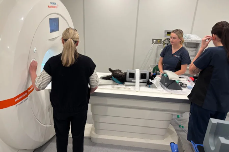 New MRI at Melbourne Veterinary Specialists