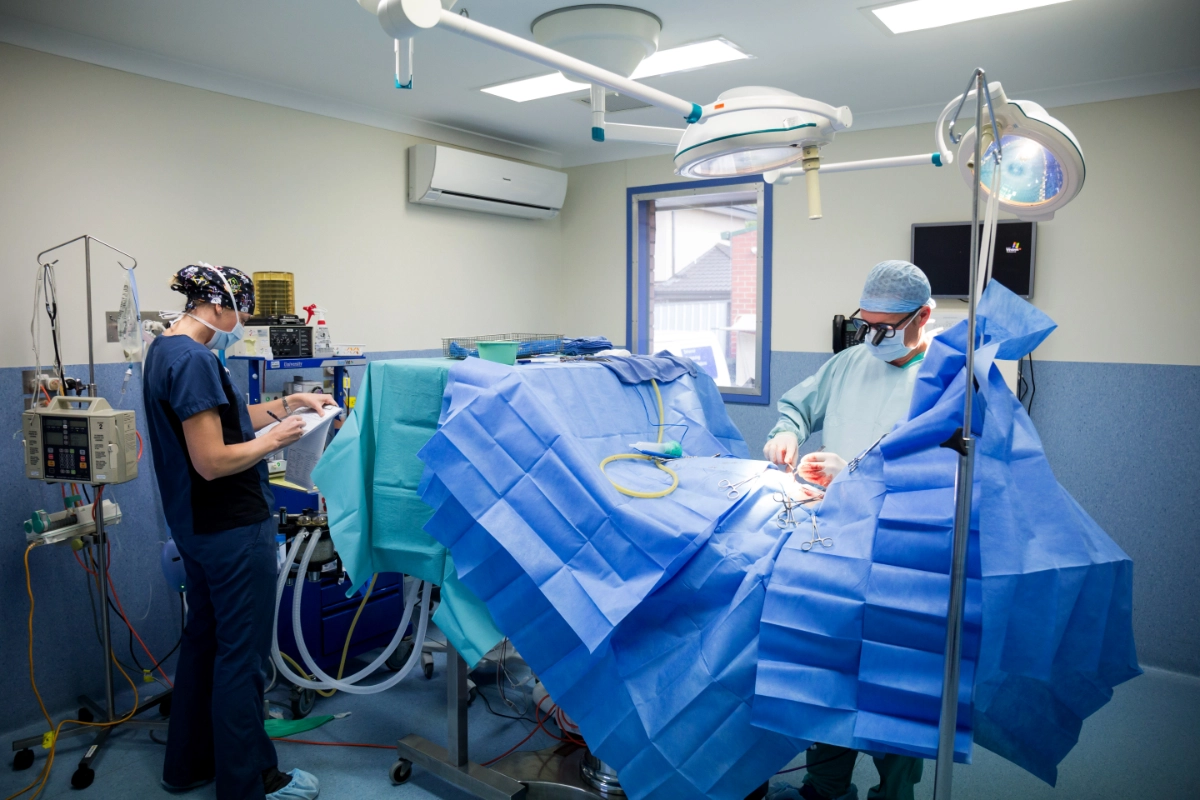 Surgery department at Melbourne Veterinary Specialists